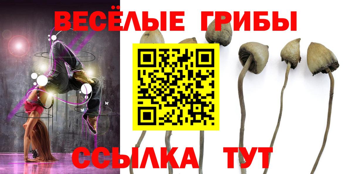 Барнаул  Галлюциногенные грибы Cubensis  Вход с VPN 