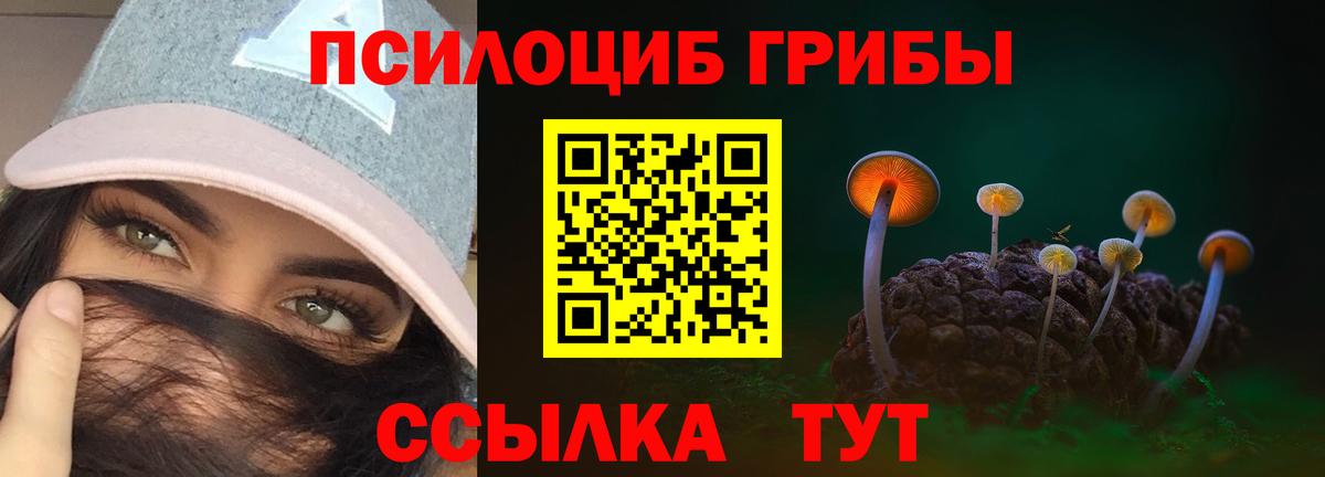 Галлюциногенные грибы прущие грибы Барнаул